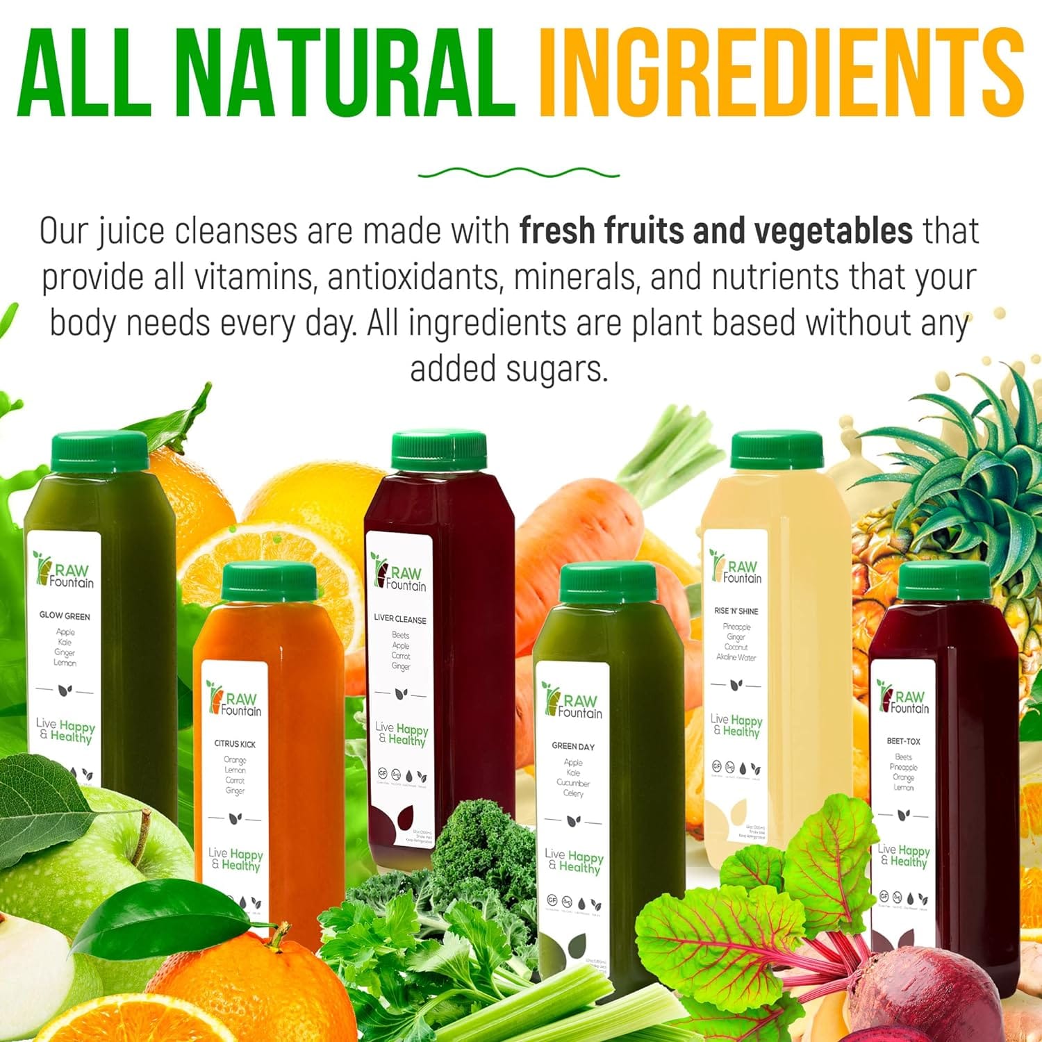 Juice Cleanse1 Day: how it works