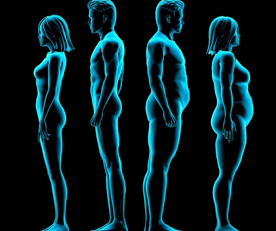 Body Types Shape & Fitness Guide